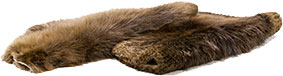 Beaver Pelts